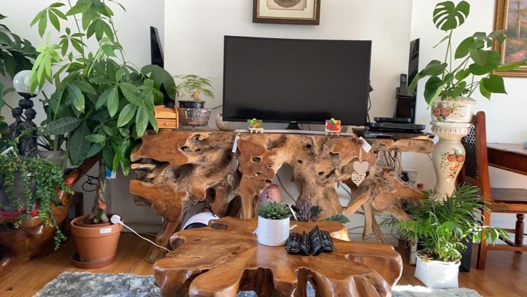 Teak Root Coffee Tables